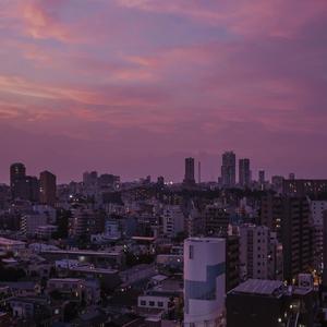 小刚吃vivian黄金vk
